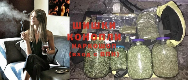 ПСИЛОЦИБИНОВЫЕ ГРИБЫ Арсеньев