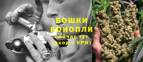 ПСИЛОЦИБИНОВЫЕ ГРИБЫ Арсеньев