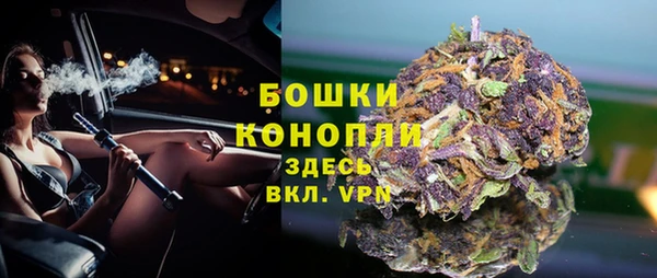 ПСИЛОЦИБИНОВЫЕ ГРИБЫ Арсеньев