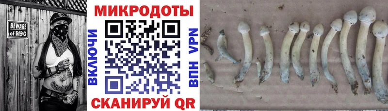 МЕГА как войти  Перевоз  Галлюциногенные грибы ЛСД 